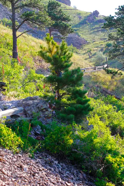 Vistas Bear Butte State Park Dakota Del Sur — Foto de Stock