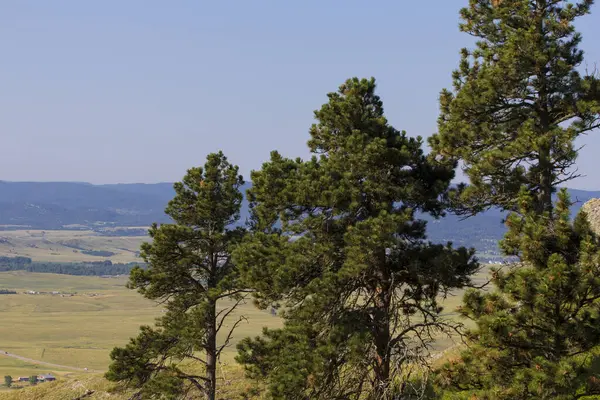 Widok Park Stanowy Bear Butte Dakota Południowa — Zdjęcie stockowe