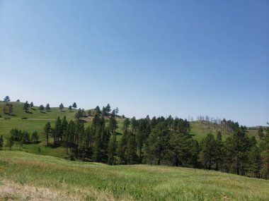Güney Dakota, Custer Eyalet Parkı