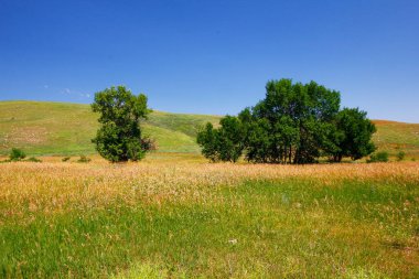 Güney Dakota, Custer Eyalet Parkı