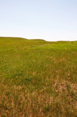 Güney Dakota, Custer Eyalet Parkı