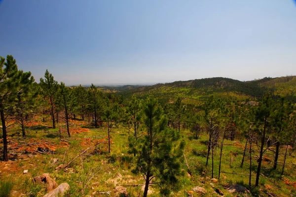 Heddy Draw Overlook Custer State Park Dakota Del Sur — Foto de Stock