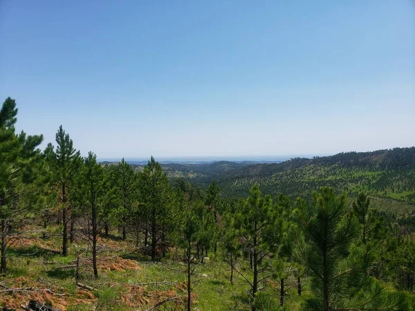 Widok Heddy Draw Custer State Park Południowa Dakota — Zdjęcie stockowe