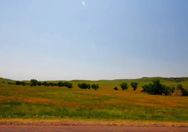 Ansichten Custer State Park South Dakota — Stockfoto