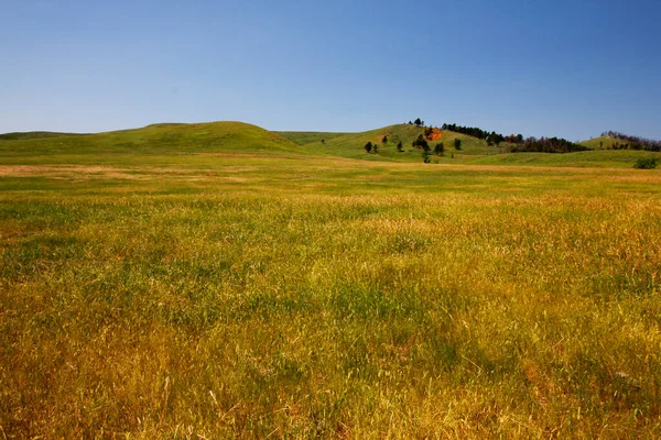 Ansichten Custer State Park South Dakota — Stockfoto