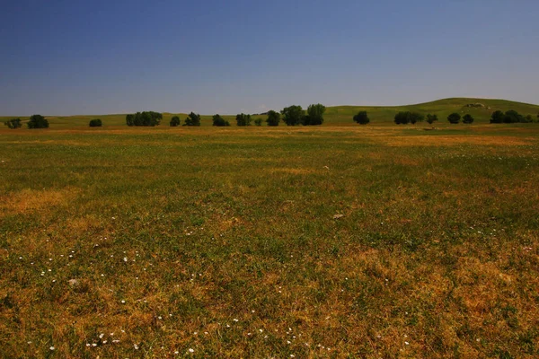 Uitzicht Custer State Park South Dakota — Stockfoto