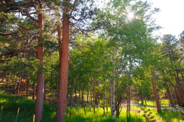 rushmore Dağı Ulusal Anıtı, Güney dakota