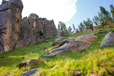 Güney Dakota, Yazın Needles Otobanından Görüntüler