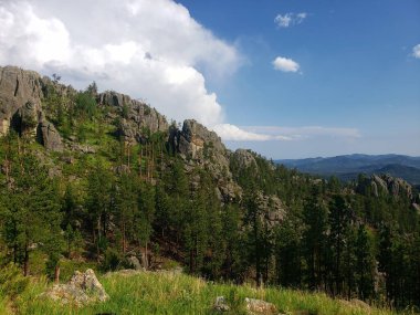 Güney Dakota, Yazın Needles Otobanından Görüntüler