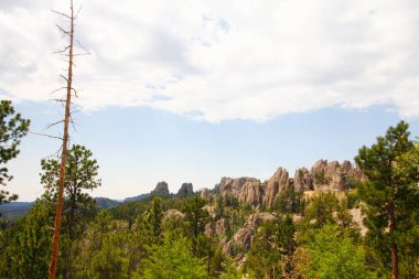 Güney Dakota, Yazın Needles Otobanından Görüntüler