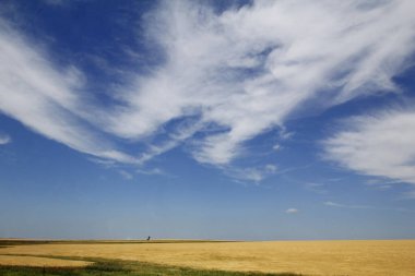 Güney Dakota 'daki Büyük Ovalarda Bulutlarla Güneşli Gün