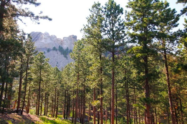 Mount Rushmore National Memorial Dakota Del Sud — Foto Stock