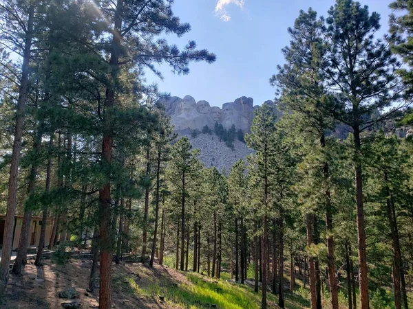 Mount Rushmore National Memorial South Dakota — Stockfoto