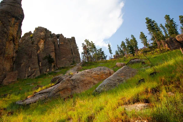 Vista Dalla Needles Highway Estate Dakota Del Sud — Foto Stock