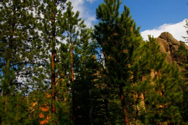 Vue Depuis Needles Highway Été Dakota Sud — Photo