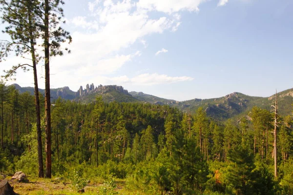 Vue Depuis Needles Highway Été Dakota Sud — Photo