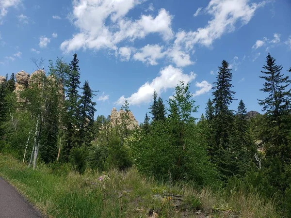 Views Needles Highway Summer South Dakota — Stock Photo, Image