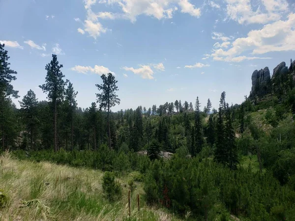 Vista Dalla Needles Highway Estate Dakota Del Sud — Foto Stock