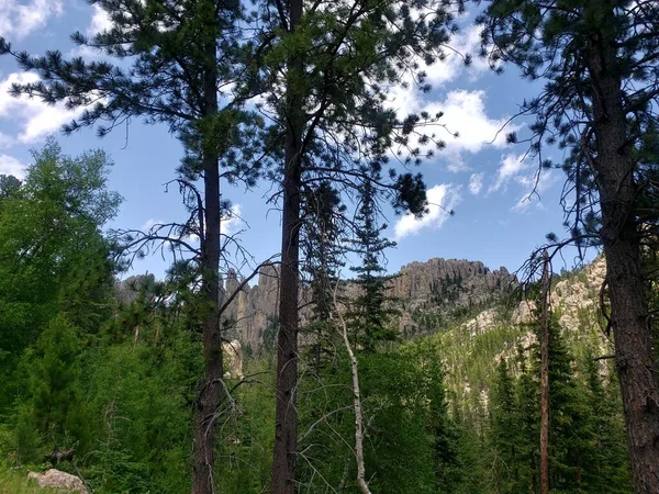 Utsikt Från Needles Highway Sommaren South Dakota — Stockfoto