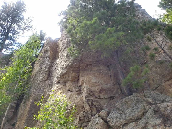 Vista Dalla Needles Highway Estate Dakota Del Sud — Foto Stock