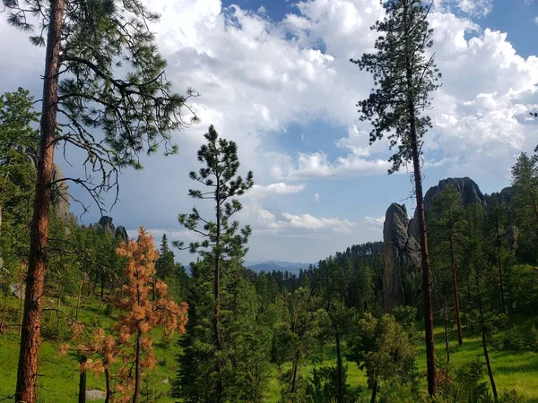 Views Needles Highway Summer South Dakota — Stock Photo, Image