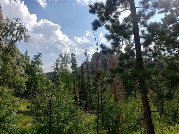 Utsikt Från Needles Highway Sommaren South Dakota — Stockfoto