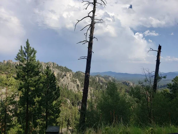 Views Needles Highway Summer South Dakota — Stock Photo, Image