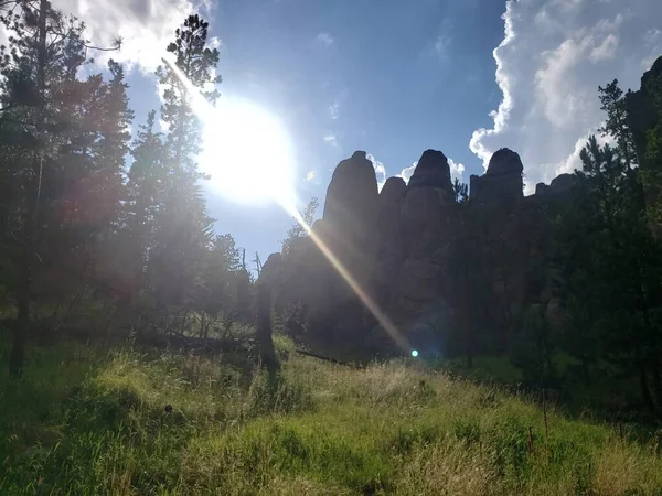 Ansichten Vom Needles Highway Sommer South Dakota — Stockfoto