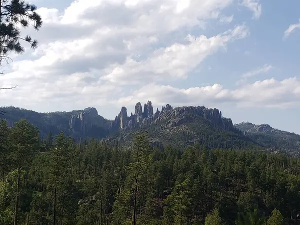 Vista Dalla Needles Highway Estate Dakota Del Sud — Foto Stock