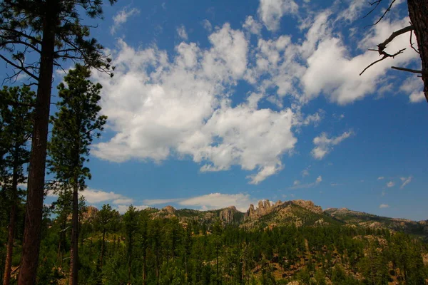 Vista Dalla Needles Highway Estate Dakota Del Sud — Foto Stock