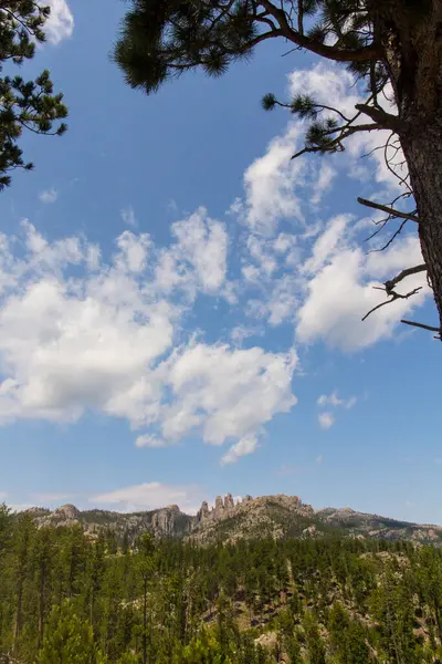 Vista Dalla Needles Highway Estate Dakota Del Sud — Foto Stock