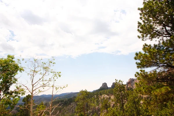 Vista Dalla Needles Highway Estate Dakota Del Sud — Foto Stock