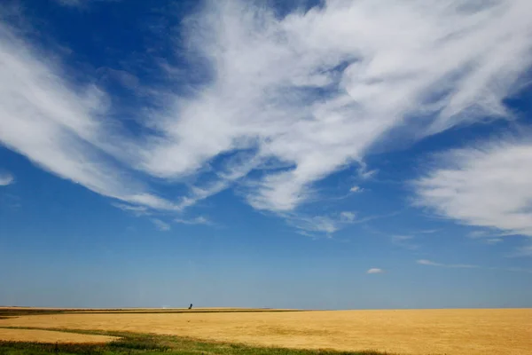 Zonnige Dag Met Wolken Grote Vlakten Zuid Dakota — Stockfoto