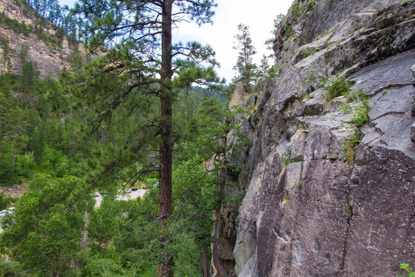Vue Sur Canyon Spearfish Spearfish Canyon Scenic Byway Dakota Sud — Photo