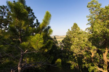 Yazın Oak Park, Whitewood, Güney Dakota