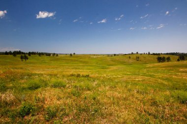 Güney Dakota Yazın Rüzgâr Mağarası Ulusal Parkı Manzarası