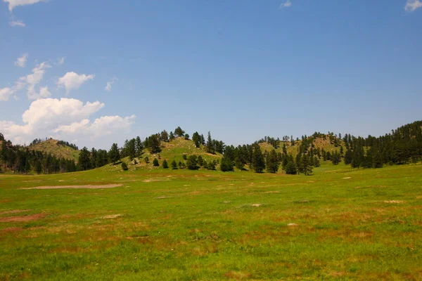 Utsikt Över Wind Cave National Park Sommaren South Dakota — Stockfoto