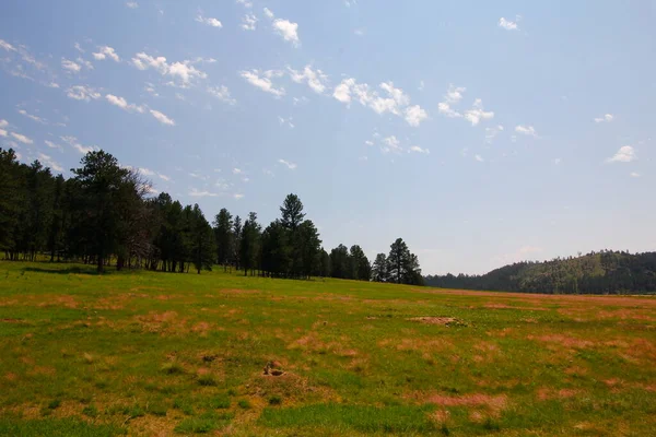 Views Prairie Dog Town Wind Cave National Park Summer South — Stock Photo, Image