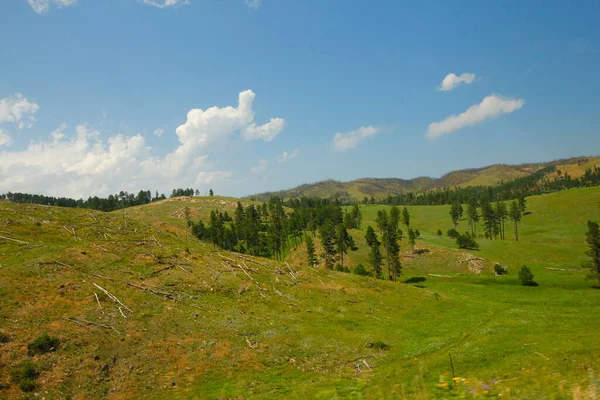 Views Wind Cave National Park Summer South Dakota — Stock Photo, Image