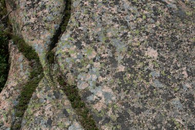 Acadia Ulusal Parkı, Maine