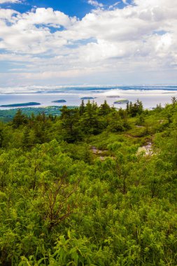 Acadia Ulusal Parkı, Maine