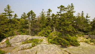 Acadia Ulusal Parkı, Maine