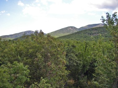 Acadia Ulusal Parkı, Maine