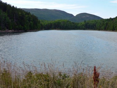 Acadia Ulusal Parkı, Maine