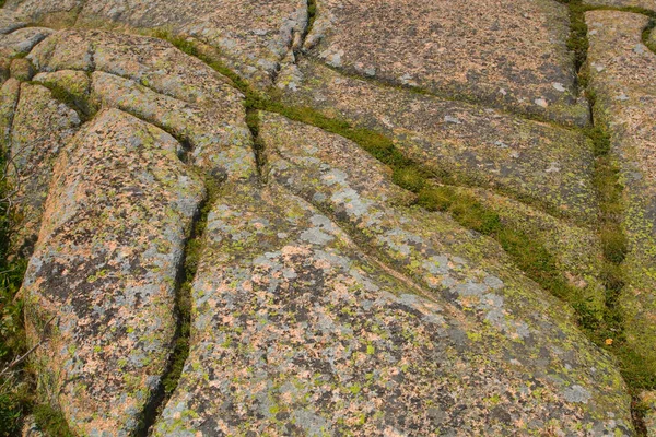 Kilátás Acadia Nemzeti Park Maine — Stock Fotó