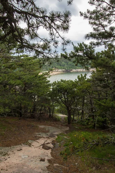 Utsikt Över Acadia National Park Maine — Stockfoto