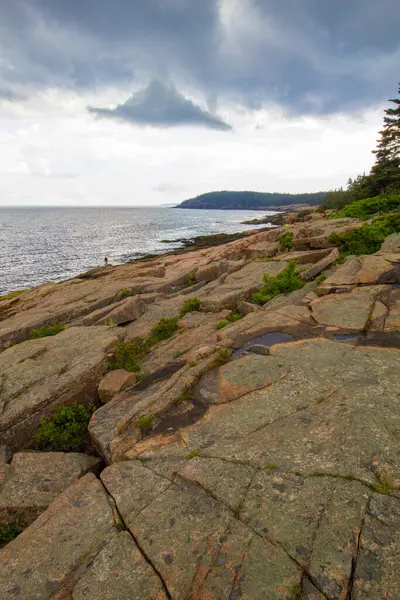 Acadia Ulusal Parkı Maine — Stok fotoğraf