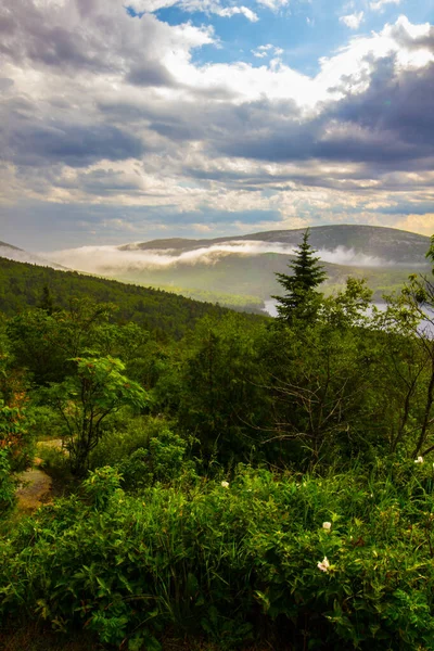 Vistas Del Parque Nacional Acadia Maine — Foto de Stock