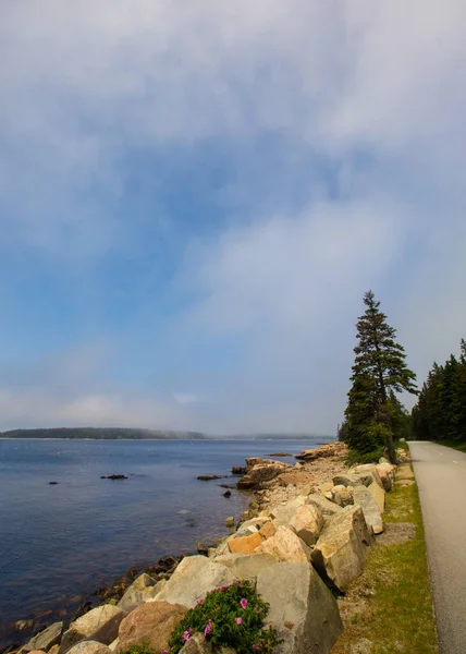 Widok Park Narodowy Acadia Maine — Zdjęcie stockowe