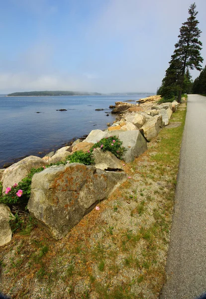 View Acadia National Park Maine — стоковое фото